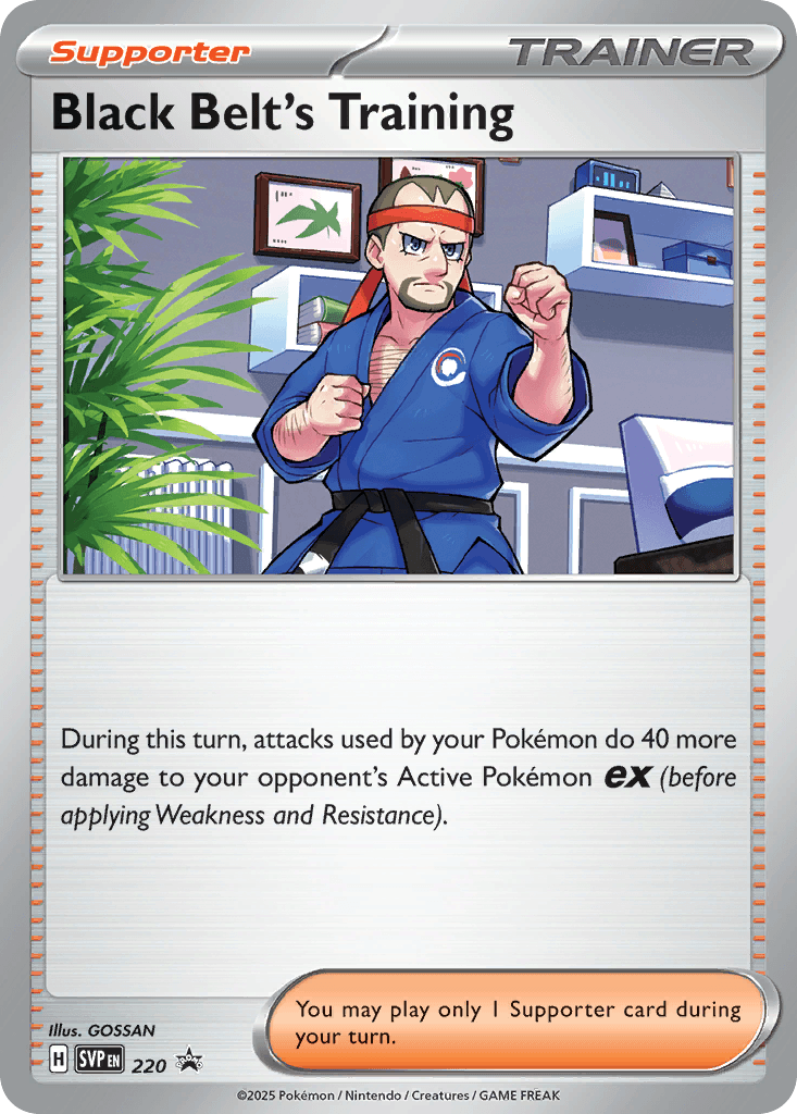 Black Belt's Training